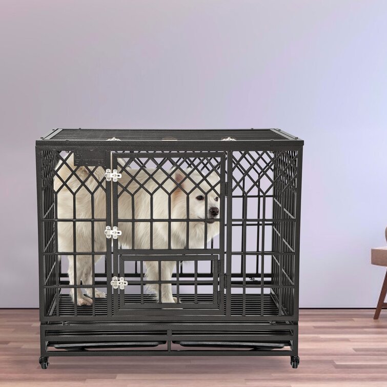 Metal bottom 2024 dog crate